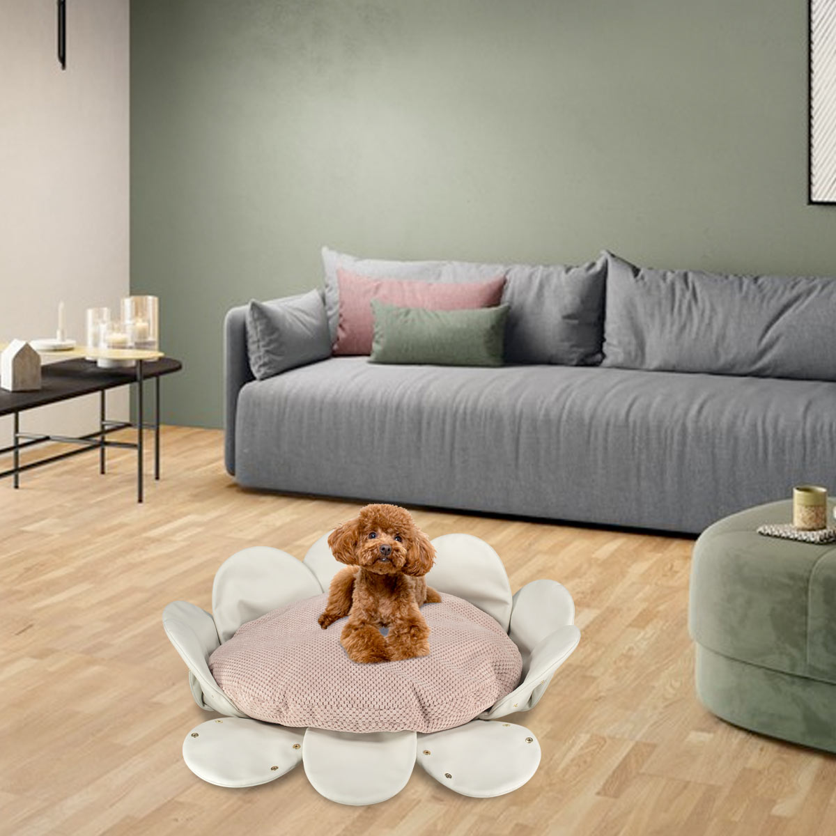 BLOOM_BEIGE_VELVET_646_V3