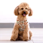 PETTORINA_SUITEY_ANIMALIER_BEIGE_v2